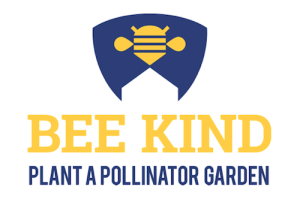 bee-kind-thumbnail