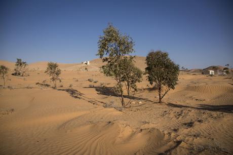 desertification-causes