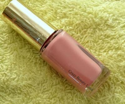 L'oreal Paris Color Riche Les Vernis Boudoir Rose (204)  & Top Coats Collection Matte (915) Review and Swatches