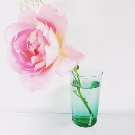 Rose In Green Glass Truro by  StyleCarrot