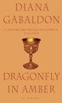 dragonfly in amber