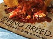 #1,834. Dying Breed (2008)