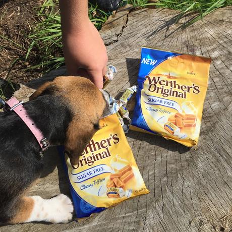 Werther’s Original Sugar Free Chewy Toffee #giveaway