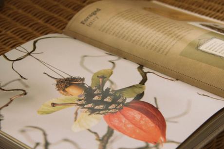 the crafted garden book