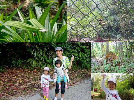 The rustic beauty of Pulau Ubin {Tips for a family visit}