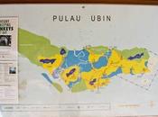 Rustic Beauty Pulau Ubin {Tips Family Visit}