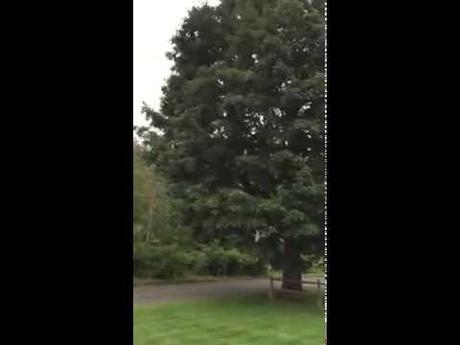 Vermont and a Floating Bridge YouTube Preview Image