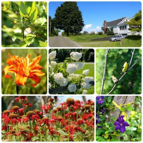 Vermont and a Floating Bridge flowers in Vermont