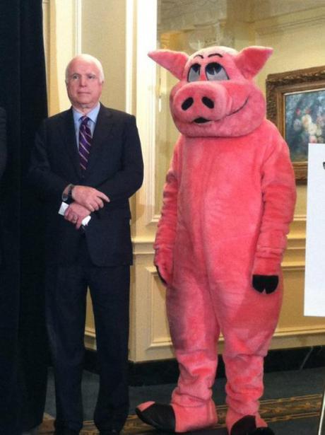 McCain & pig