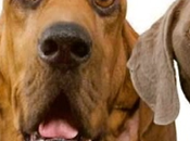 Wednesday’s Funny: That Look…