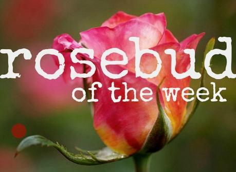 ROSEBUD OF THE WEEK: the elegant Serene
