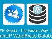 Easiest CleanUP WordPress Database- Sweep