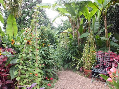 Will Giles Exotic Garden Norwich