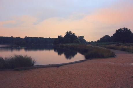 wild swimming in richmond park