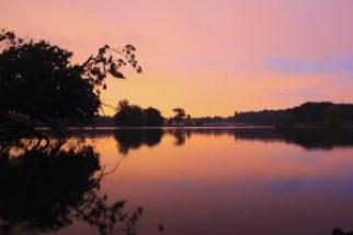 wild swimming in richmond park