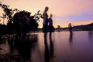 wild swimming in richmond park