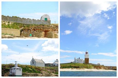 Coquet Island Northumberland