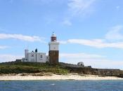 Diary: Amble Coquet Island, Northumberland