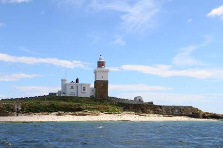 Coquet Island, Northumberland