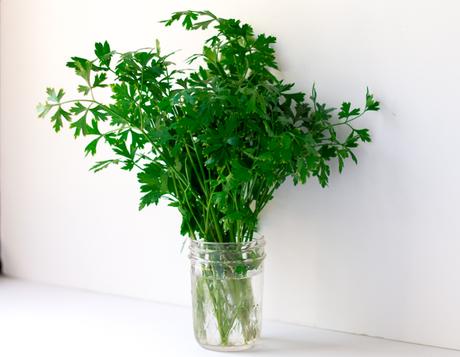 How to Store Fresh Parsley and Cilantro
