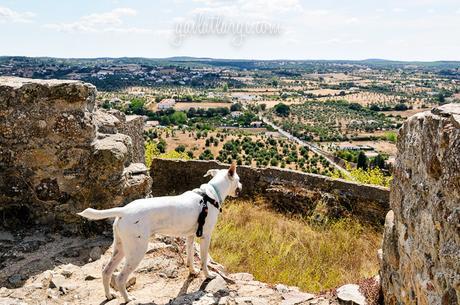 Montemor-o-Novo Castle, Portugal (8)