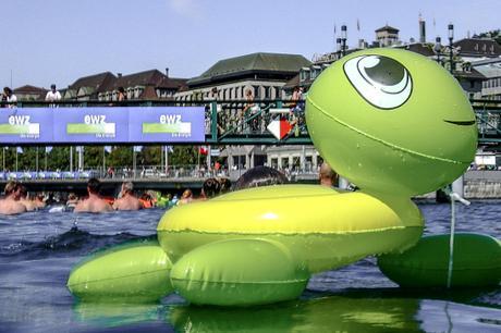 Trust the (inflatable) turtle! OLYMPUS DIGITAL CAMERA