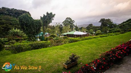 Cloud forest surrounding Finca Lerida.