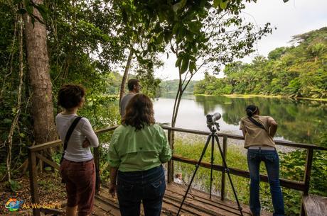 Guide has set up the scope for us to see a bird on the other side of the lake.