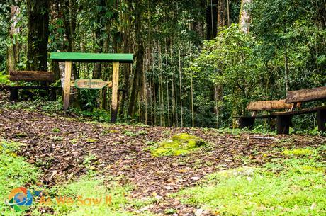 Entrance to birding trail at Finca Lerida.