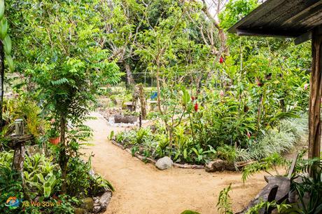 Orchid garden in El Valle de Anton.