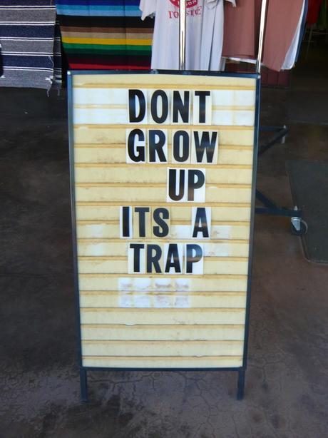 'Don't Grow Up, It's a Trap'