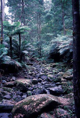 Australia's Great Ocean Road