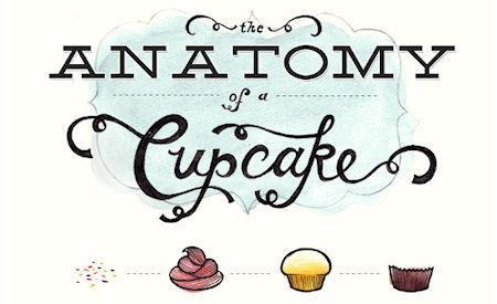 The Anatomy Of A Cupcake
