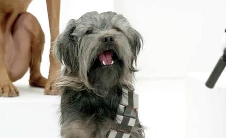 The Bark Side Volkswagen 2 The Bark Side   Volkswagen Game Day Commercial Teaser