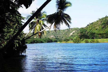 Hippie Chavon