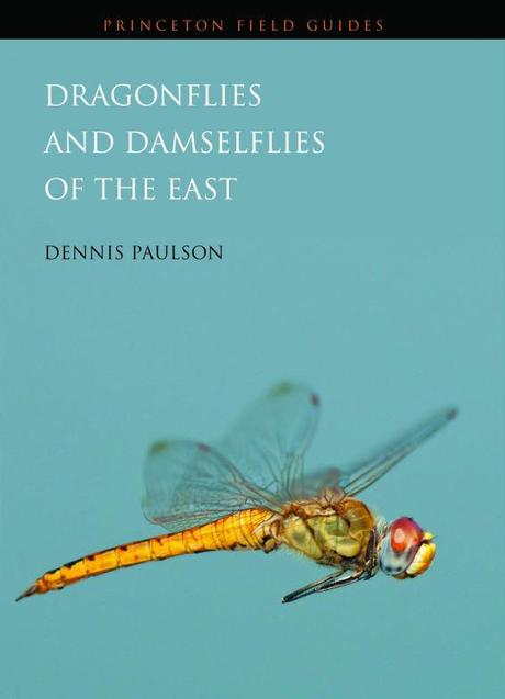 Review: Dragonflies and Damselflies of the East