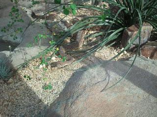 My Zoo Visit (Jurassic Park)