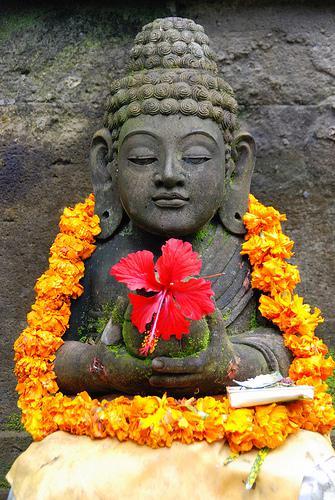 Bali Serenity