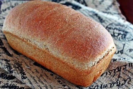 Ricotta olive oil bread