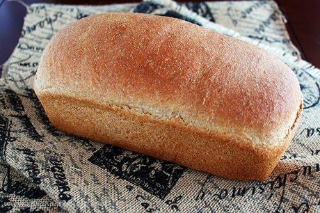 Ricotta olive oil bread