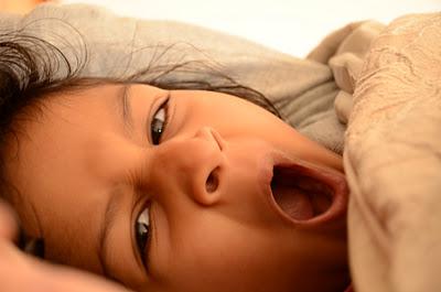 January 28, 2012 (365 Day Photo Challenge)