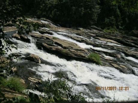 Athirappilly Falls…Paradise In Disguise!!!!