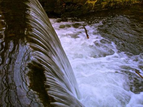 Hermitage of Braid, Edinburgh