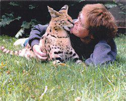 Living with Wild Animals? Read SERVAL SON by Kristine M. Smith