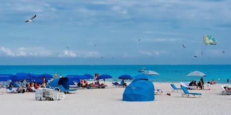 THE BEAUTIFUL LADIES OF OCEAN DRIVE IN SOUTH BEACH, FLORIDA