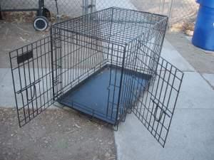Lesson 481 – Why every chicken owner needs to get a dog crate