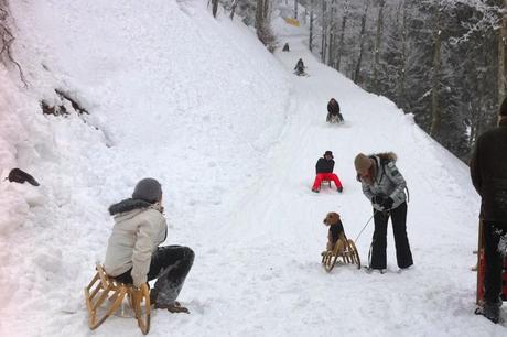 tobogganing tegernsee 