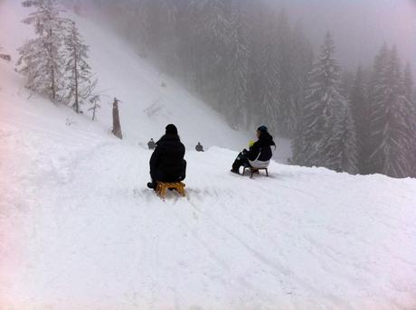 tobogganing tegernsee 