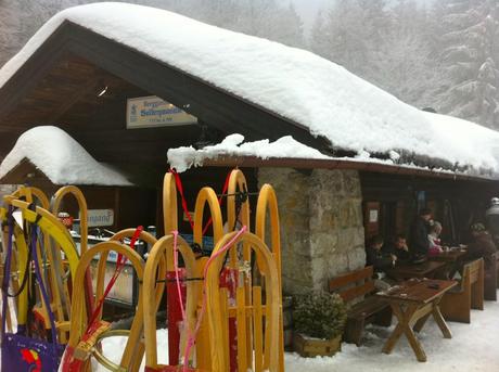 tobogganing tegernsee hutte