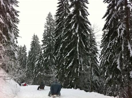 toboggan run tegernsee